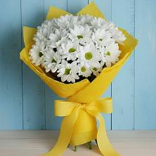 Букет цветов из:  Хризантемы в Рошале