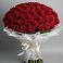 Букет 101 Красная роза Блэк Мэджик в Рошале