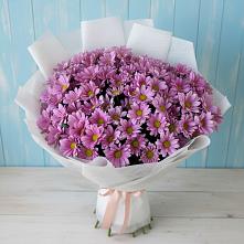 Букет цветов из:  Хризантемы в Рошале