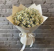 Букет цветов из:  Ромашки в Рошале