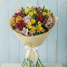 Букет цветов из:  Альстромерии в Рошале