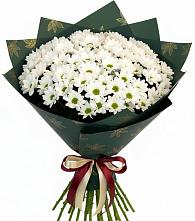 Букет цветов из:  Хризантемы в Рошале