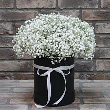 Цветочная композиция из Гипсофила в шляпной коробке #REPLACE_PRED# Рошале