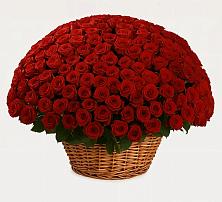 Премиум букет из: Розы в Рошале